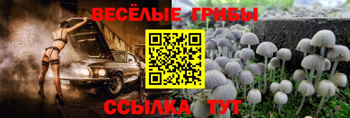 Псилоцибиновые грибы мицелий  Вход с VPN  Каспийск 